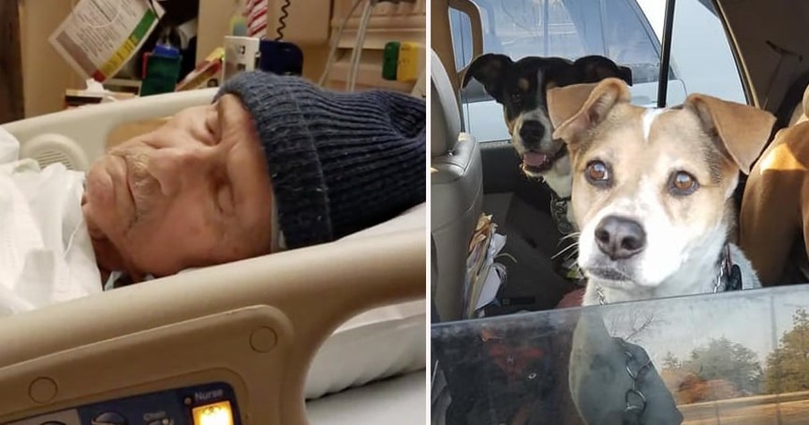 Dying Man Heartbroken To Leave His Fur-Baby Behind Asks For Help