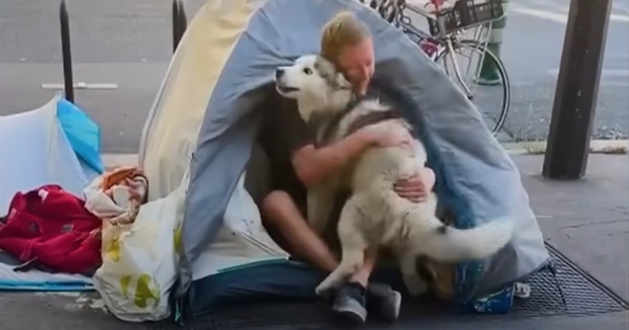 Homeless Man's Life Changed Because of the Unconditional Love of A Dog