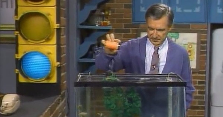 The Story Behind Mister Rogers' Habit Of 'Announcing' When He Was Feeding The Fish