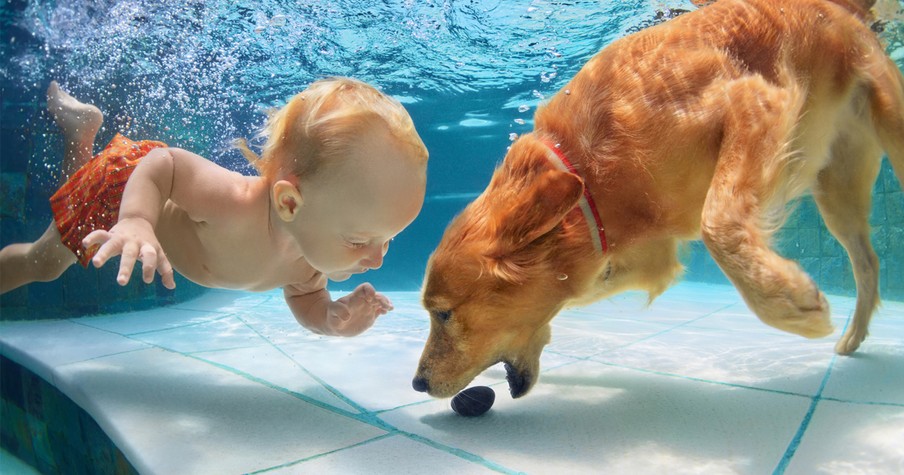 17 Puppies Who Know Exactly How You're Feeling