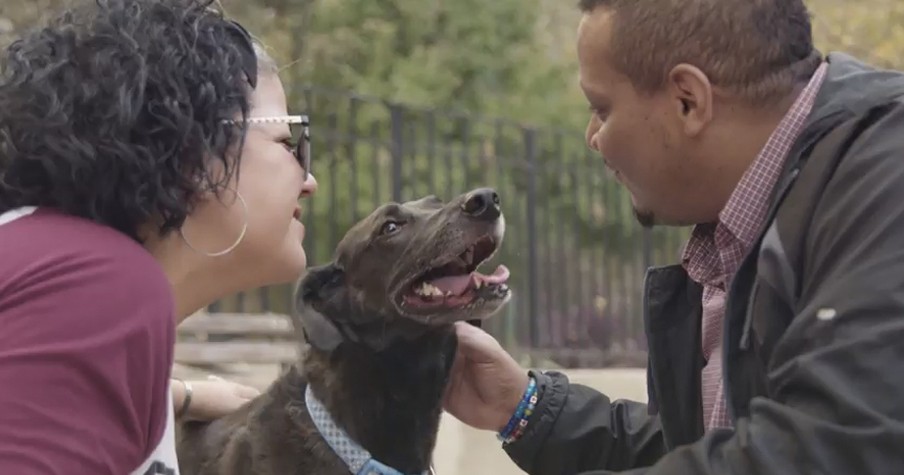 Dog Comforts Her Thru Fertility Problems, She Notices Him Acting Odd