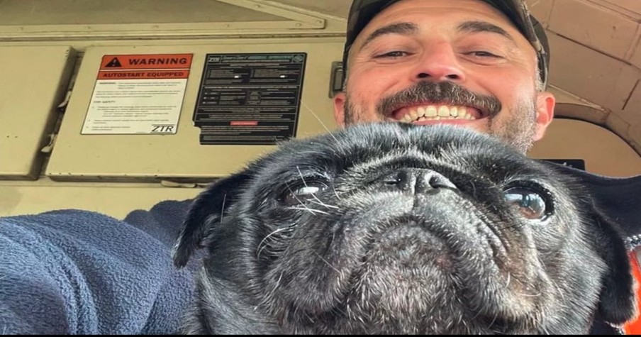 Train Driver Acted Fast To Rescue A Scared Pug, Then Came A Tearful Reunion With The Owners