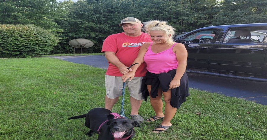 Couple Going Door-to-Door to Find Lost Dog's Owner Stop As They Hear Cries for Help