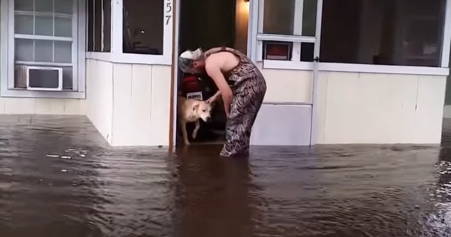 He Was Left For Dead In The Flood. But A Kind Stranger Came To The Rescue!