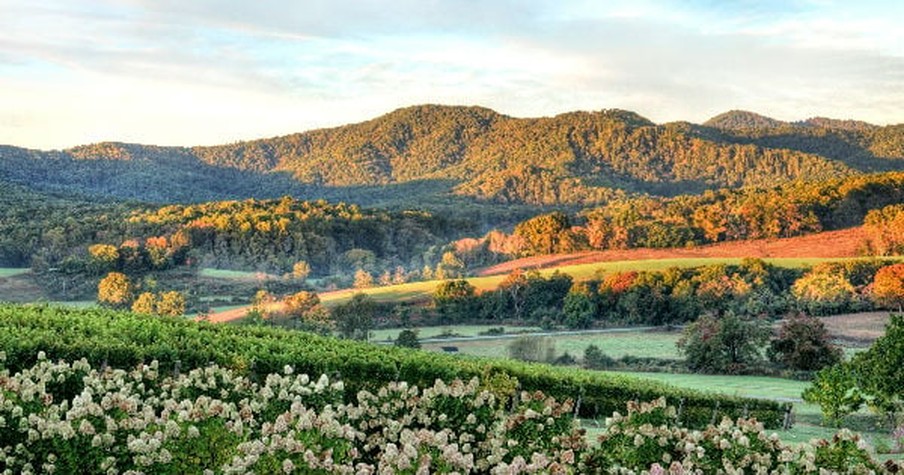 Driver Thought Saying on Car’s Bumper Was 'Cheesy' Until He Drove Thru the Hills of Virginia