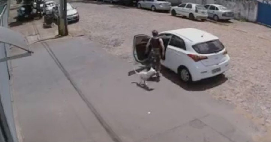 Heart-Wrenching Footage Shows Dog Owner Dump The Same 3-Legged Dog Not Once, But Twice