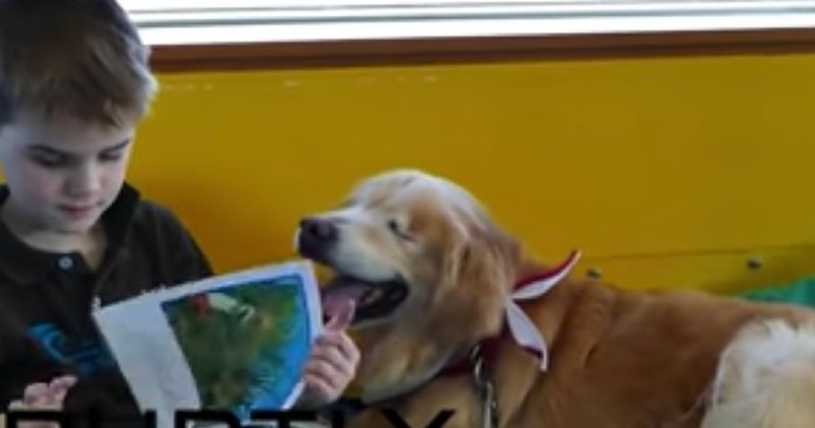 He Survived A Terrible Puppy Mill. And How God's Now Using Him To Help The Suffering--WOW!