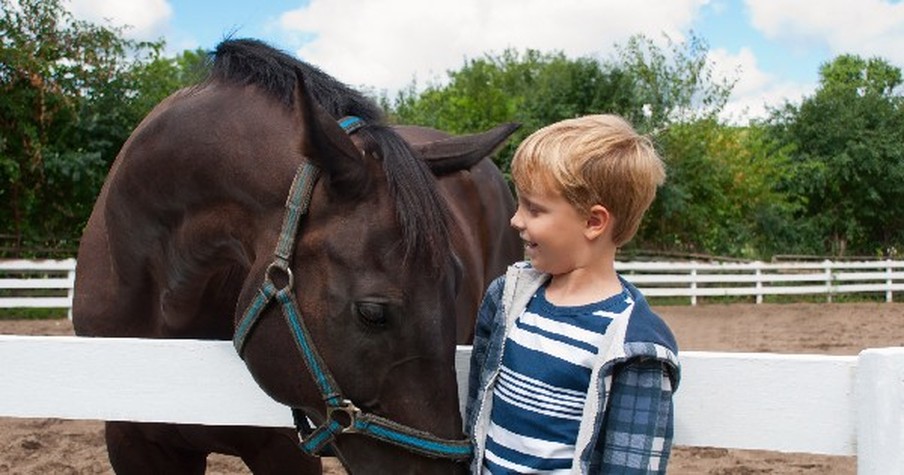 Little Boy Saved His Money To Save A Race Horse