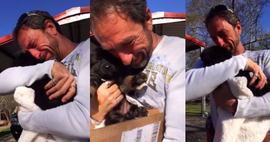 Things Get Emotional When a Dad Gets a New Puppy from His Kids After Losing His Beloved Dog