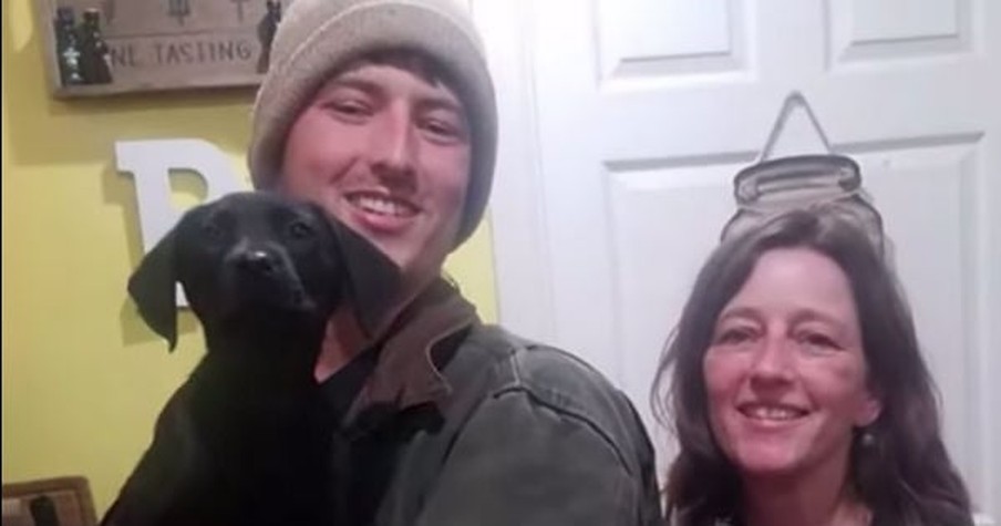 Deaf Man Sees Deaf Dog For Adoption And Instantly Knows They're Meant To Be