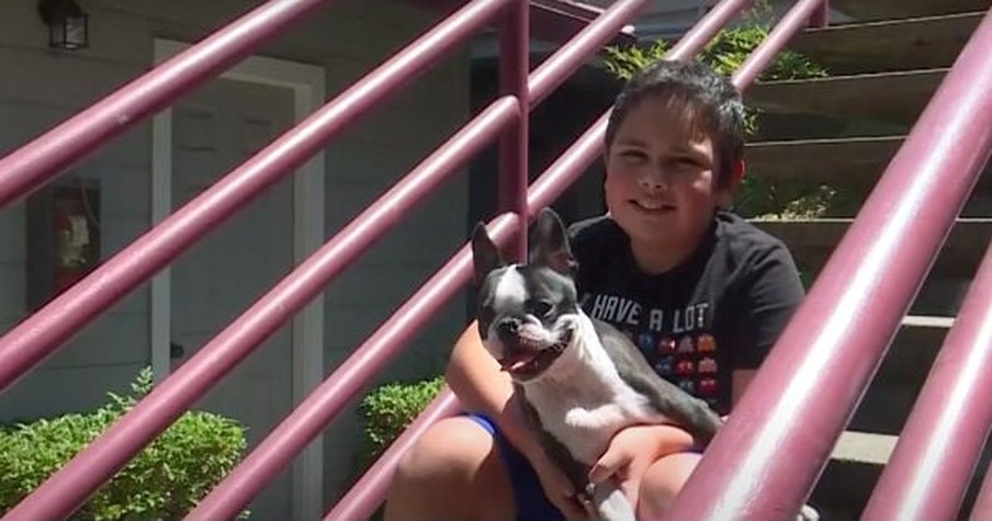 Dog and 11-Year-Old Boy Save Neighbor's Home from Fire