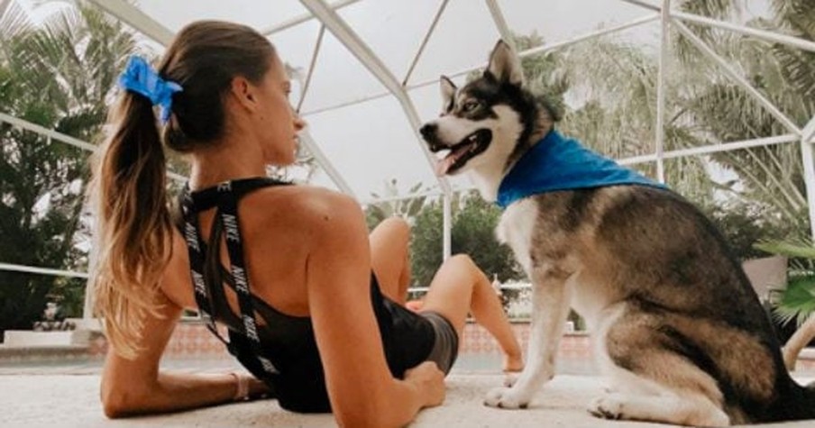 Mischievous Dog Jumps Into Pool Every Time He's Done Something To Get Into Trouble