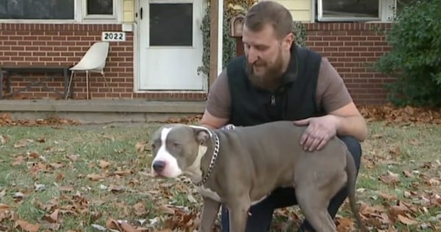 His Dog Wouldn't Stop Whining And Pawing And Then He Awoke To A Big Black Cloud Of Smoke