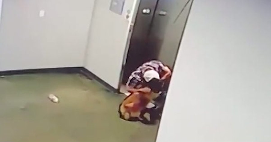 Dog Leash Caught In Elevator Prompts Daring Rescue From Quick-Thinking Hero