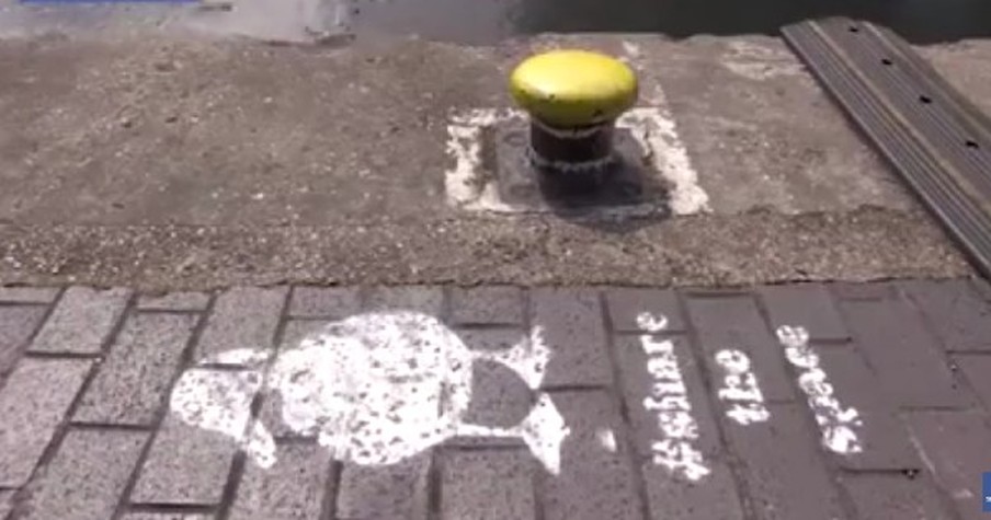 A Duck Lane Was Created To Share The Road With Ducks In The UK