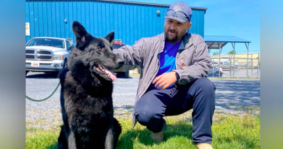 Traffic Jam Stops Woman Rushing Her Dying Dog To The Vet But God Sends A Special Angel