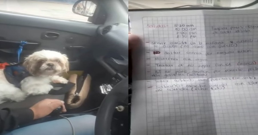 Man Leaves Bag In Taxi And When It Starts Moving, Taxi Driver Uncovers A Dog With A Note