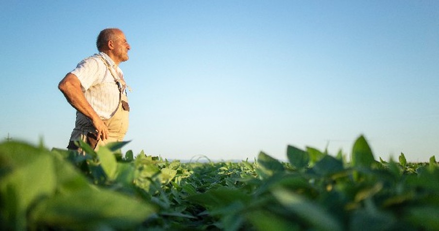 Sharks Criticized Local Farmer Until His Response Made Them Cry