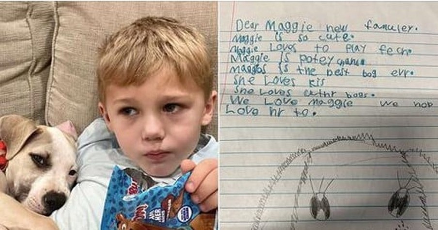 Boy Sneaks Heartfelt Letters to New Owners After Family Finishes Fostering a Dog from a Shelter