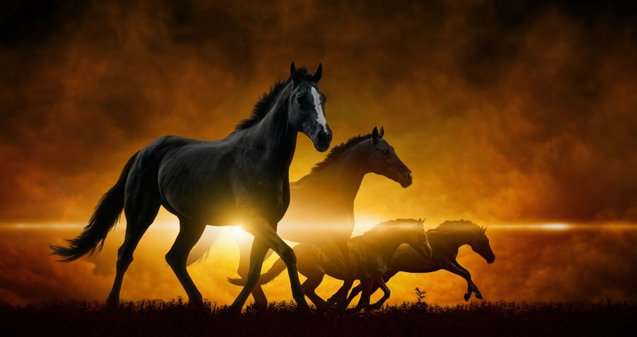 A Pastor Explains The 4 Horses Of The Apocalypse