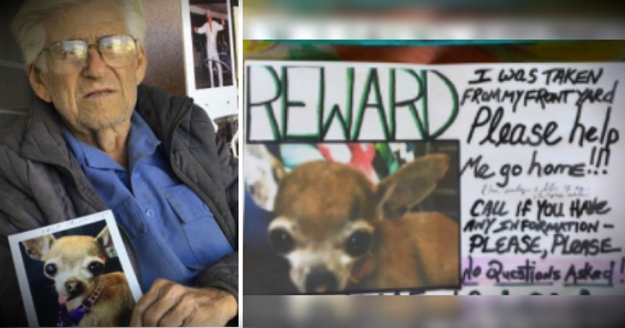 Internet's In An Uproar After 93-Year-Old Veteran's Beloved Dog Is Stolen