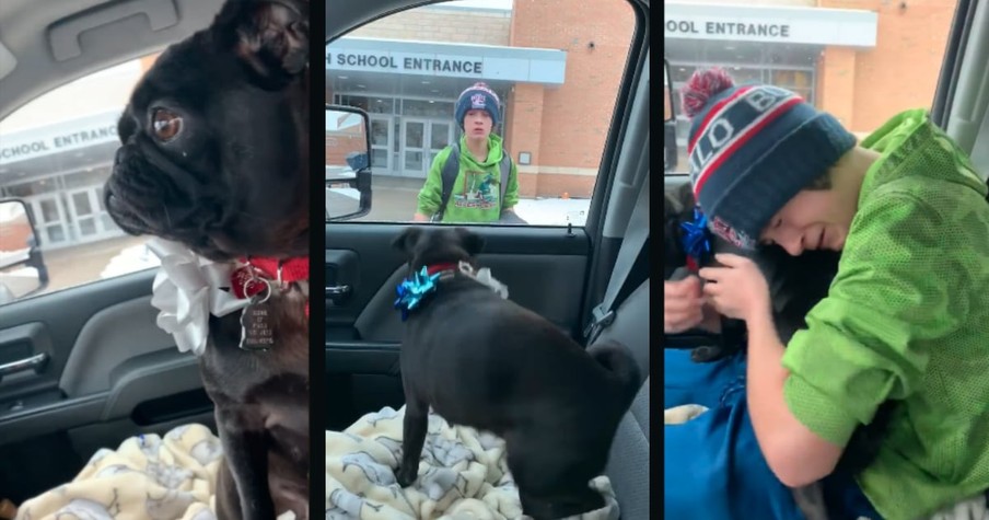 A Christmas Miracle Brought Missing Pug Home And Boy's Reaction Is Almost Too Much To Handle