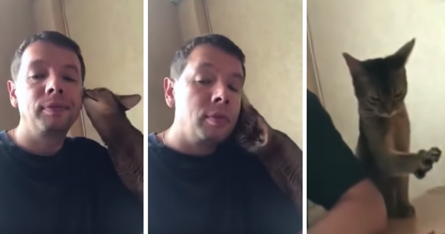 Owner Knows Instantly What His Overly Affectionate Cat Is Really After -- Food