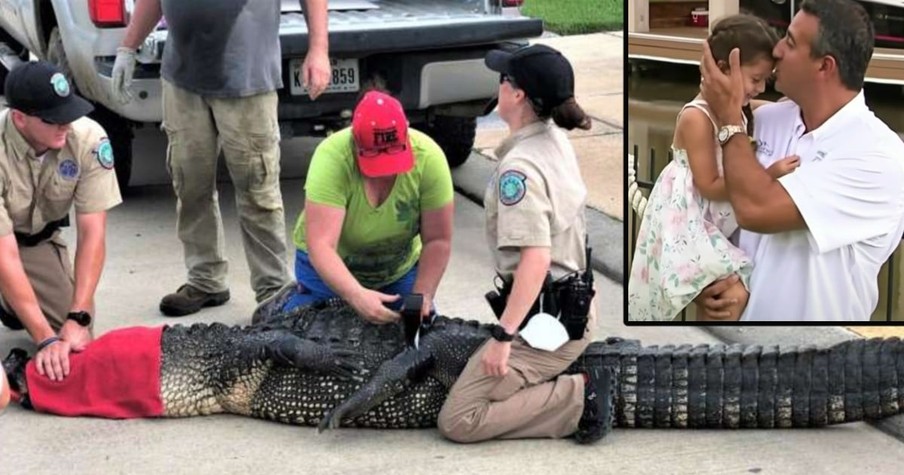 Nearly 12-Foot Alligator In Texas Is Headed Right For 4-Year-Old But Her Brave Dad Isn't Having It