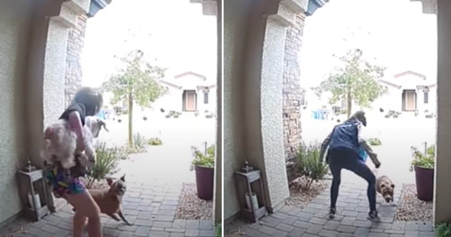 Amazon Driver Jumps In And Saves Woman And Her Dog When She Hears Cries For Help