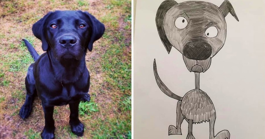 He's Never Drawn in His Life But People Are Lining Up to Buy Dad's Bad Pet Drawings