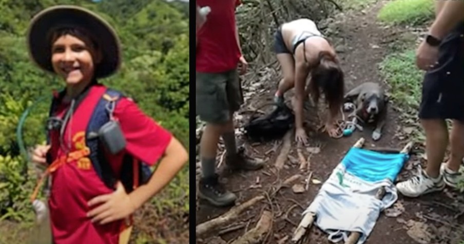 A Couple And Their Injured Dog Needed Help And Then A Boy Scout Came To Their Rescue