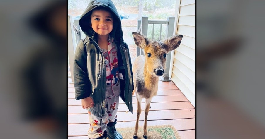 4-Year-Old Goes Outside To Play And Then Mom Spots The Boy With A Deer