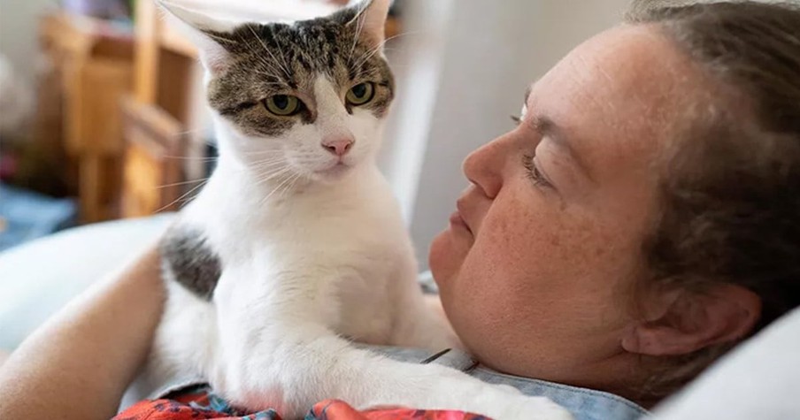 Woman Wakes Up To Cat Jumping On Her Chest, Then Realizes It Saved Her Life