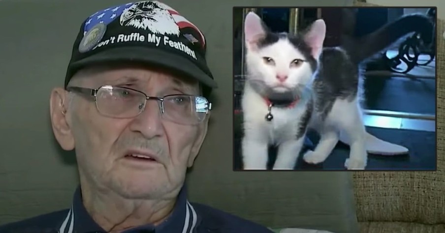 84-Year-Old Army Veteran Spent 16 Hours On Floor After Fall But Then His Cat Saves His Life