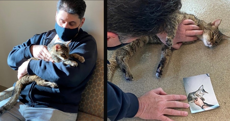 Man's Cat Went Missing And Then Reappeared 15 Years After Vanishing