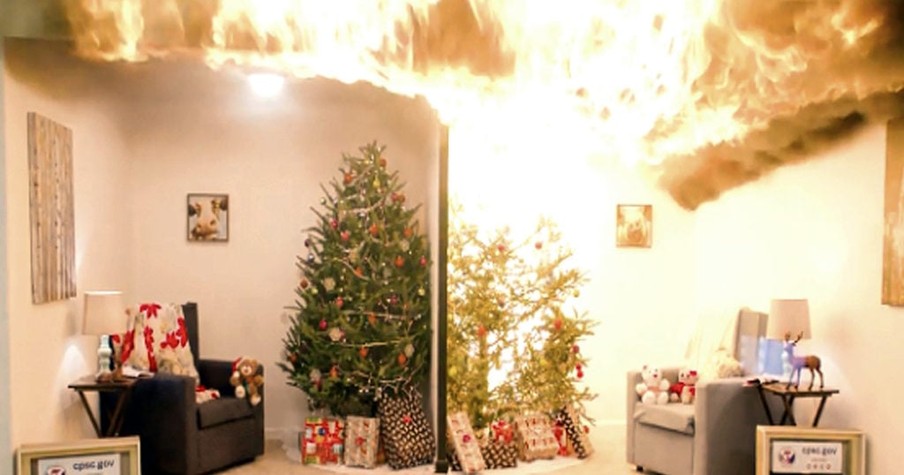 Are You Using This Simple, Well-Known Trick To Prevent Christmas Tree Fires?