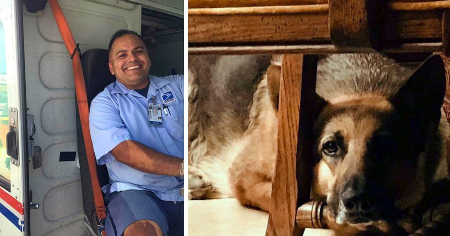 Dog And Mailman Friendship Ends In Heartbreak When Owner's Note Reveals Tragic News