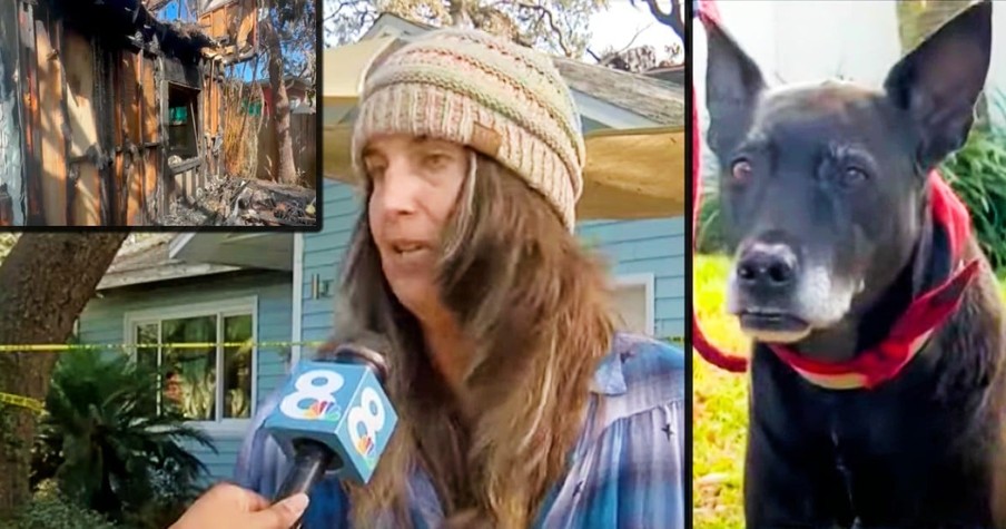 Teen Is Shocked As Trusted Pet Dog Suddenly Nips Him in the Night, but Then He Smells Smoke