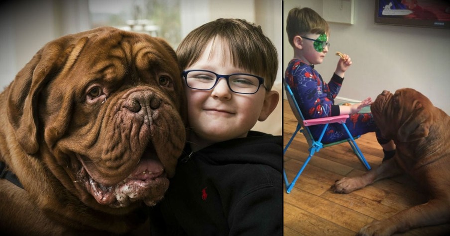 This Boy's Dog Knew He Was In Danger Before Anyone Else Noticed