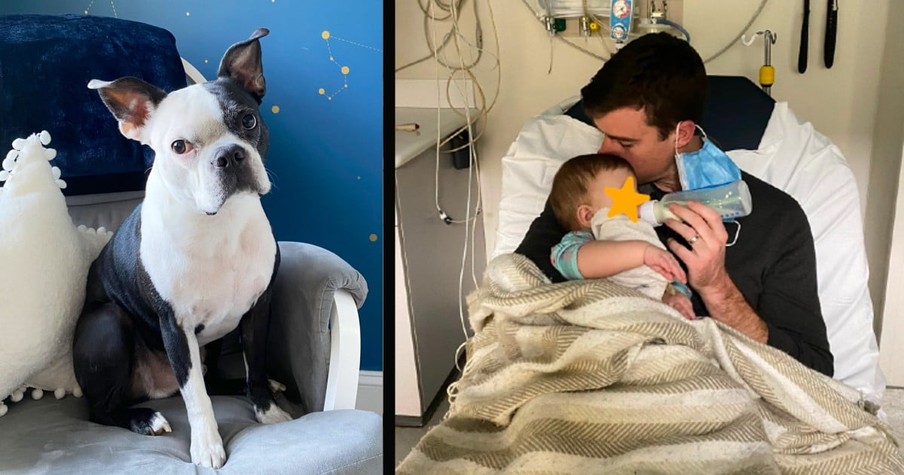 Dog Keeps Breaking into Nursery and Mom Is Fed up Until She Realizes Her Baby's Not Breathing