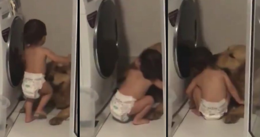 Dog Scared Of Thunderstorm Gets Comforted By His Toddler Bestie And Folks Can't Handle It