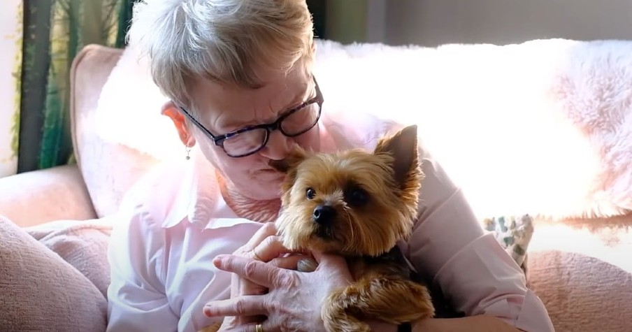 Dog's Odd Behavior Has Owner Baffled Until Doctors Find Serious Illness