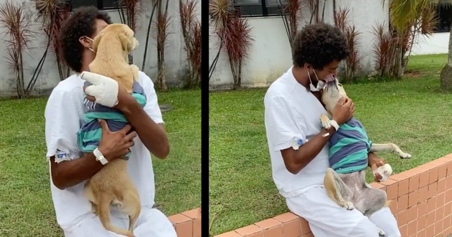 Loyal Dog Waits Weeks Outside Hospital To Be Reunited With Homeless Owner