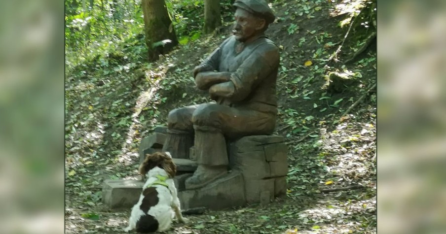 Friendly Dog Just Wants To Play Fetch And Can't Understand Why This Guy Is Refusing