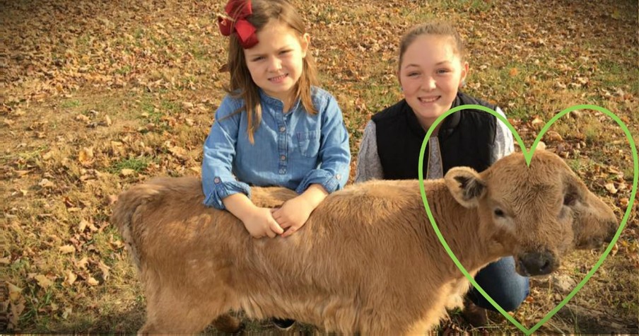 Family Knows God Gave Them Lucky, A Two-Headed Calf, For A Reason