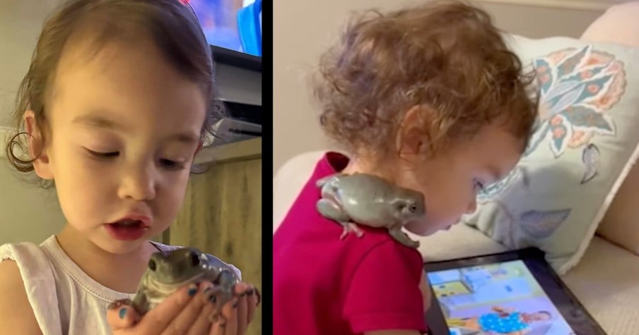 Little Girl Is Inseparable From Her Fat Pet Frog And This Unlikely Friendship Is A Must-See