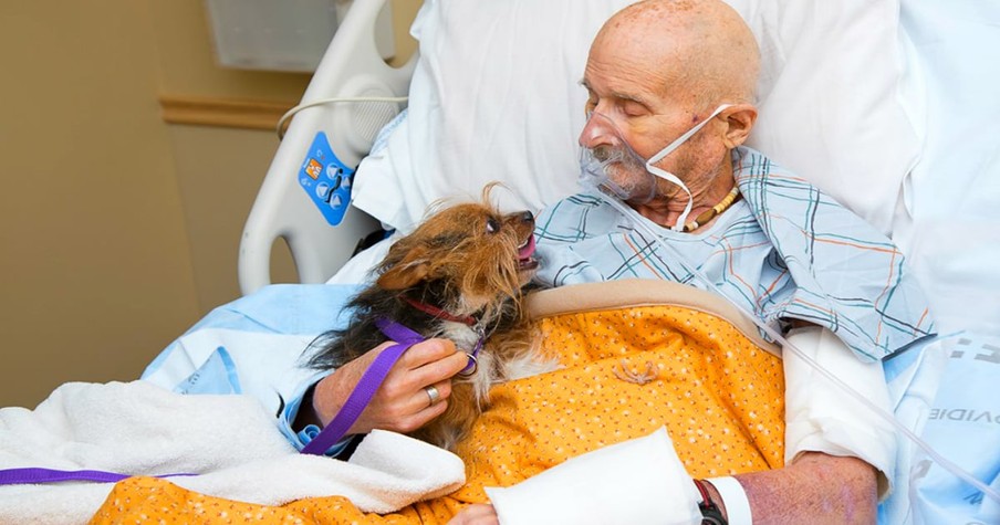 Vietnam Veteran With Little Time Left Says Emotional Goodbye To His Beloved Dog