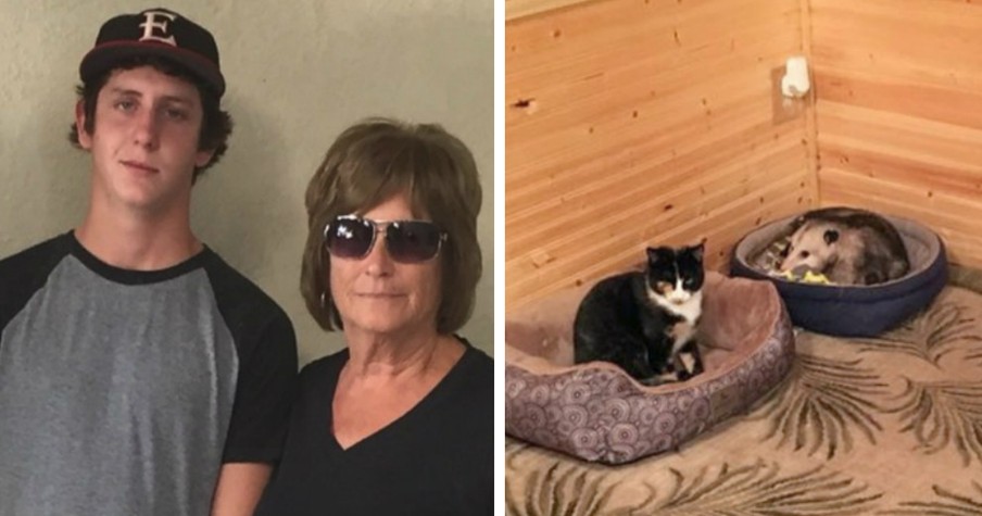 Grandma Thinks Opossum Is Stray 'Cat' Until Grandson Reveals The True Identity