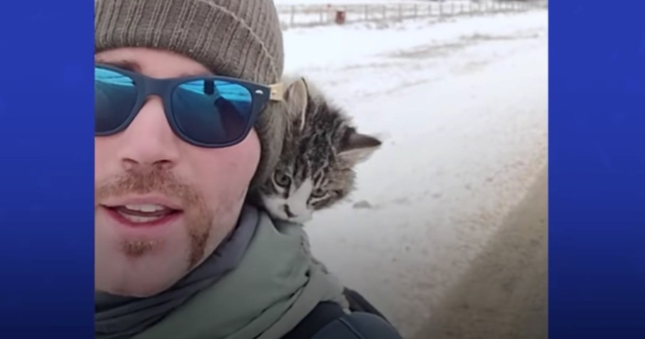 Hiker Stumbles Upon a Tiny Kitten in the Freezing Cold and Gives Him the Happiest Ending