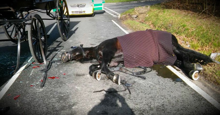 Impatient Driver Passes Horse-Drawn Funeral Procession And Hits Horse